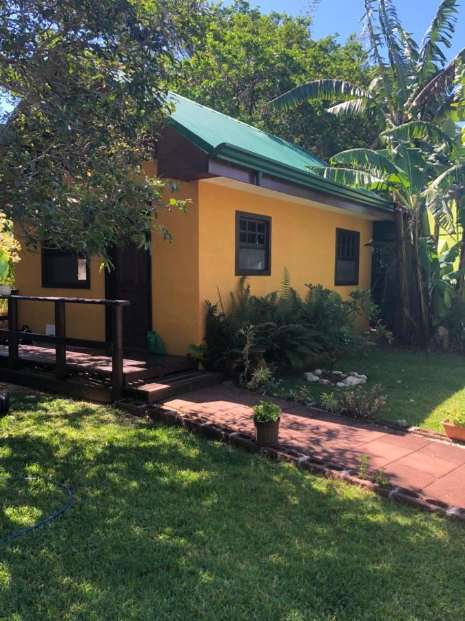 Airport Rio Segundo Studio Bed & Breakfast Alajuela Luaran gambar