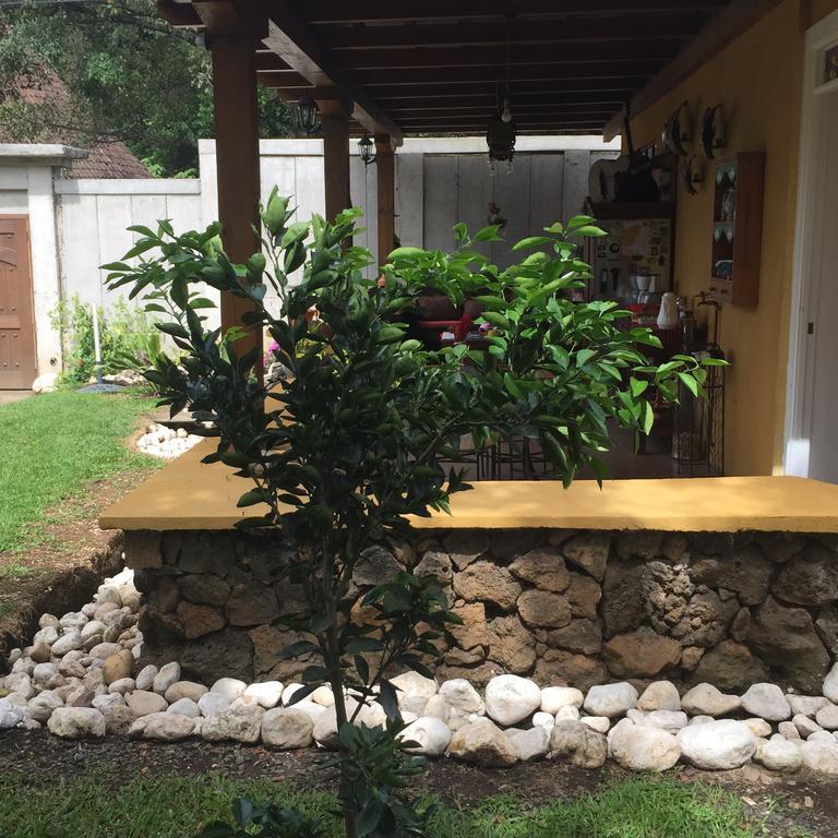 Airport Rio Segundo Studio Bed & Breakfast Alajuela Luaran gambar