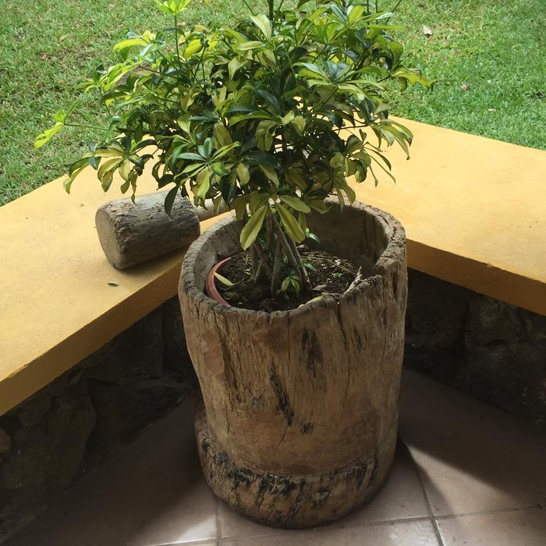 Airport Rio Segundo Studio Bed & Breakfast Alajuela Luaran gambar